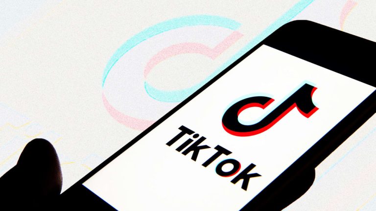 TikTok Audience